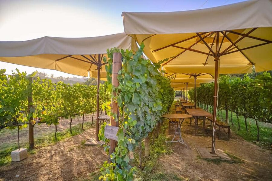 From Florence: Siena and Chianti Day Trip with Dinner - Wine tasting with dinner