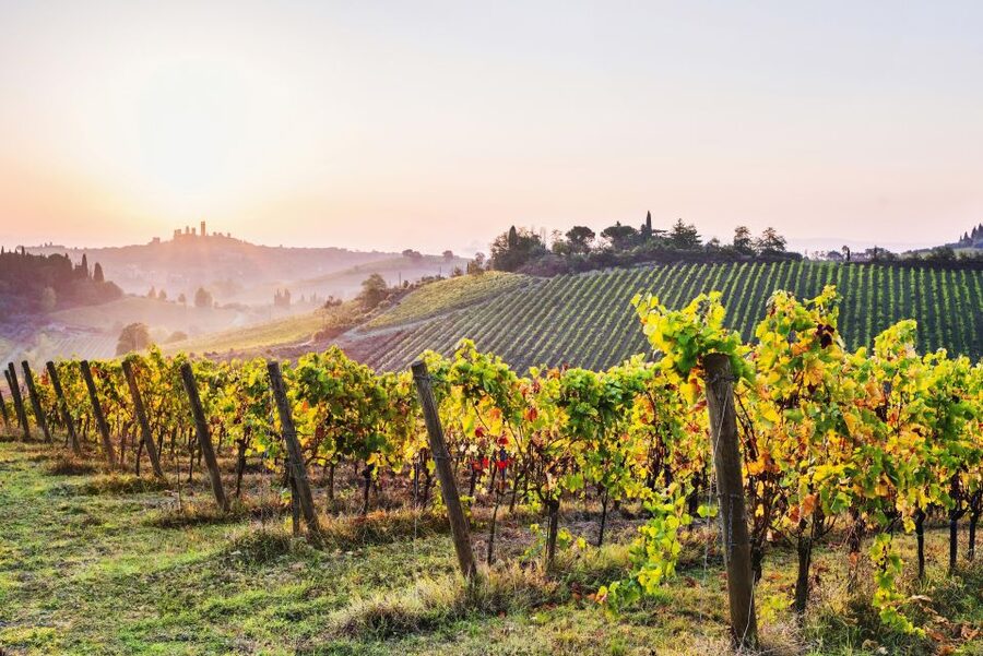 From Florence: Tuscany Day Trip to Siena & San Gimignano - Why this Florence day trip works