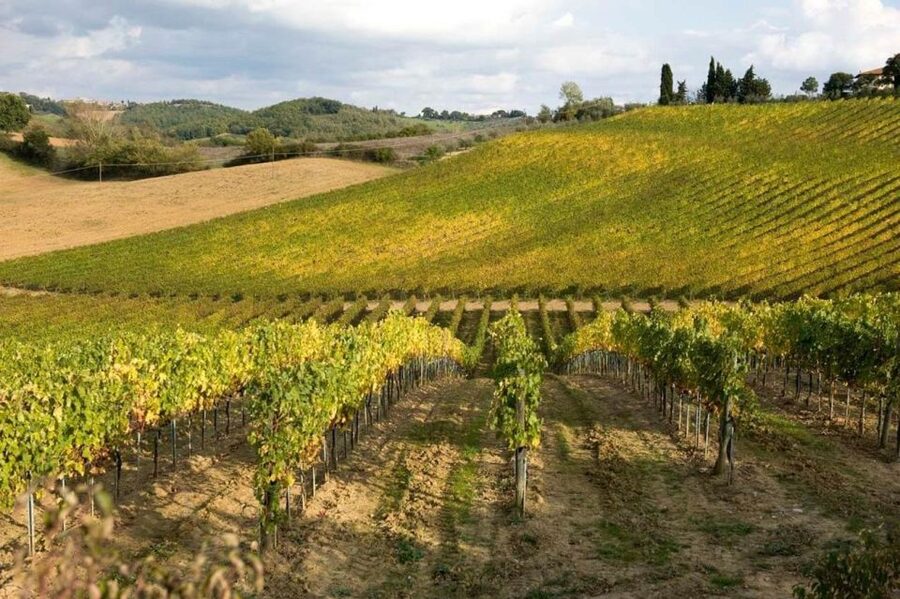 From Florence: Tuscany Day Trip to Siena & San Gimignano - The winery lunch and tasting question