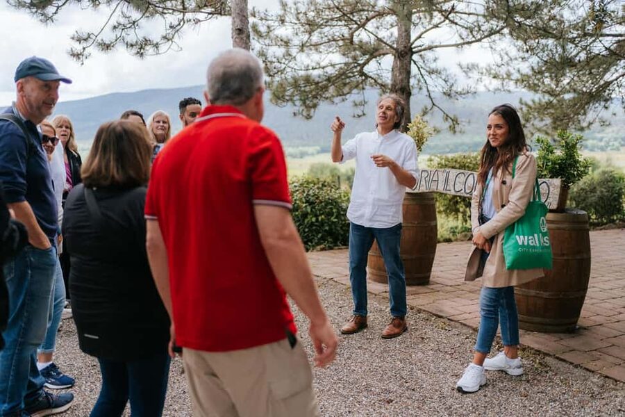 From Florence: Ultimate Tuscany Day Trip with Wine & Lunch - Guides, drivers, and the small-group difference