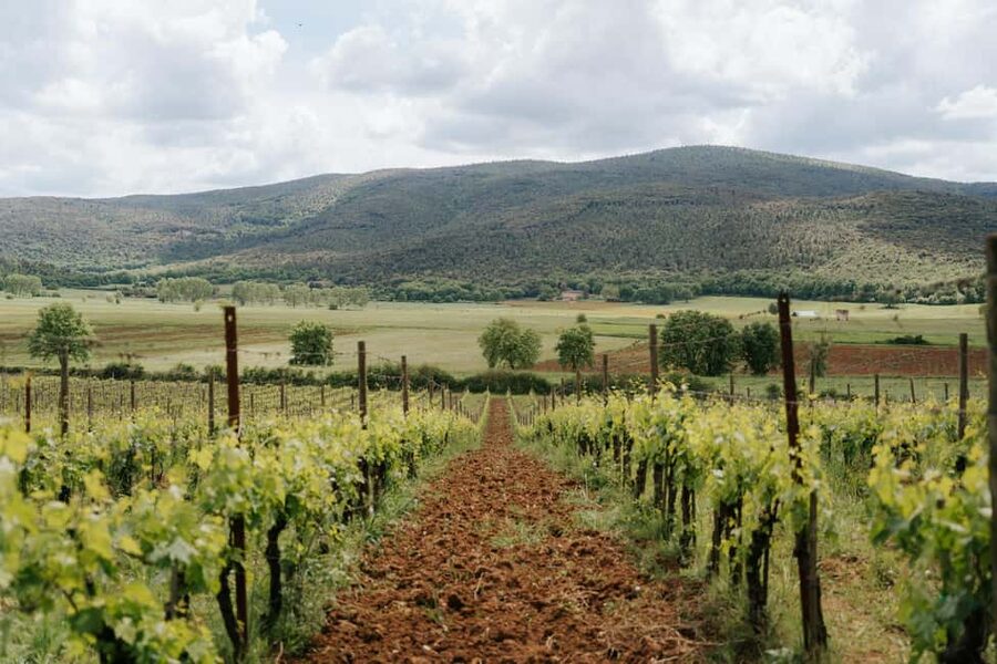 From Florence: Ultimate Tuscany Day Trip with Wine & Lunch - Meeting in central Florence and getting on the road
