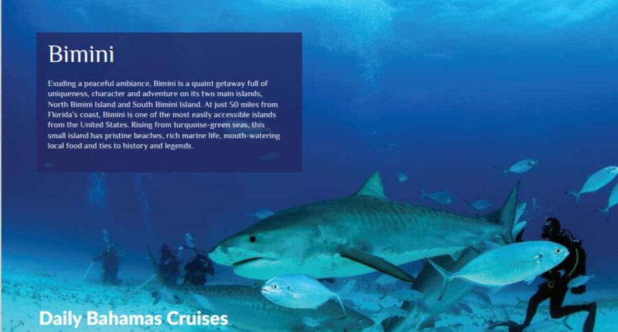 From Fort Lauderdale: Bimini Island Day Trip by Ferry - Water sports and optional island activities