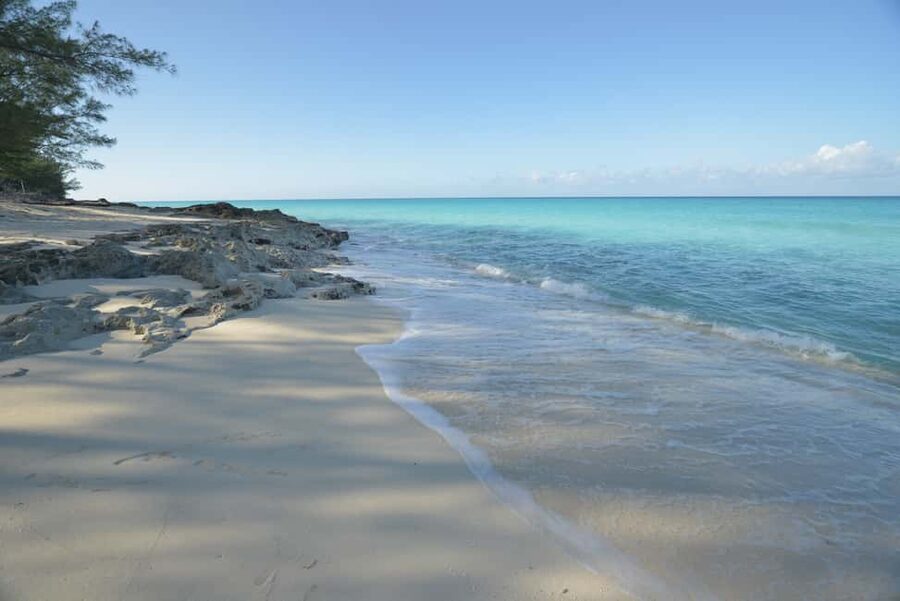 From Fort Lauderdale: Day Trip to Bimini - From Port Everglades to the Bahamas