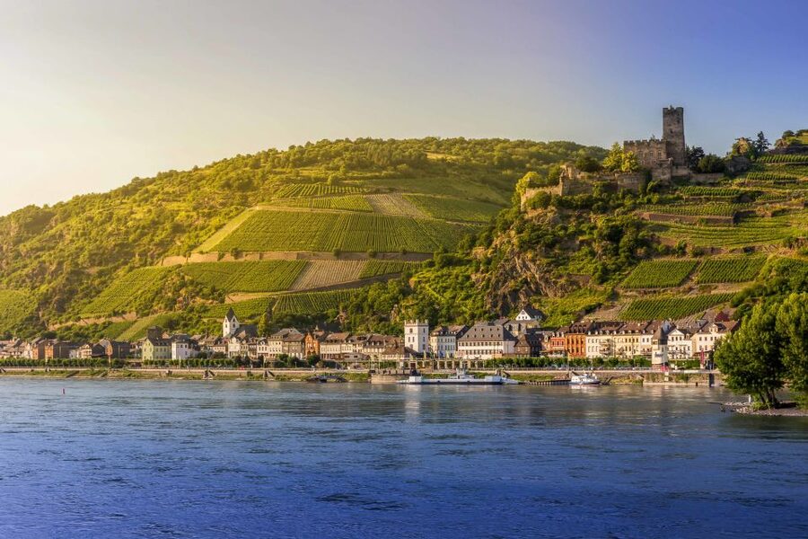 From Frankfurt: Rhine Valley Day Trip - Assmannshausen and the included lunch