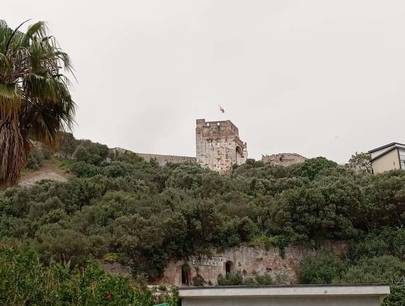 From Fuengirola: Gibraltar Day Trip - Who will get the most from this day trip