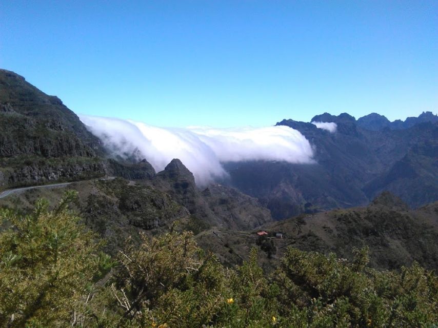 From Funchal: West Madeira and Laurel Forest Day Trip - Porto Moniz: lunch, pools, and a useful long pause