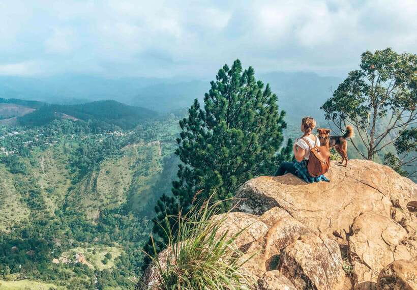 From Galle/Hikkaduwa/Mirissa: Day Trip to Experience Ella - Why this Ella day trip works from the south coast