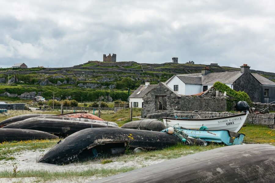 From Galway: Aran Islands & Cliffs of Moher Full-Day Trip - Guides, buses, and the pace of the day