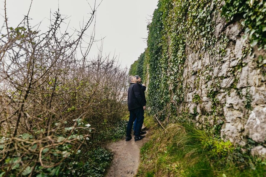 From Galway: Cliffs of Moher and The Burren Guided Day Trip - The Cliffs of Moher with 90 minutes to explore