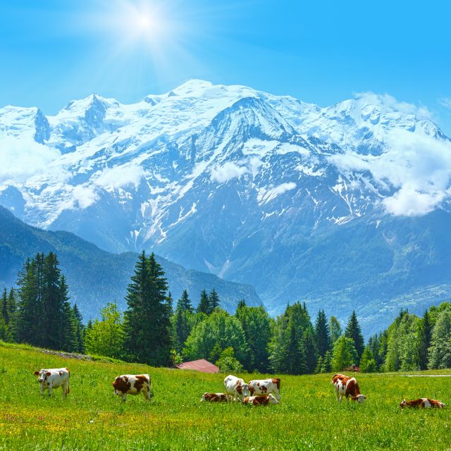 From Geneva: Chamonix Mont-Blanc Private Day Trip - Lunch in Chamonix: Convenience Versus Time