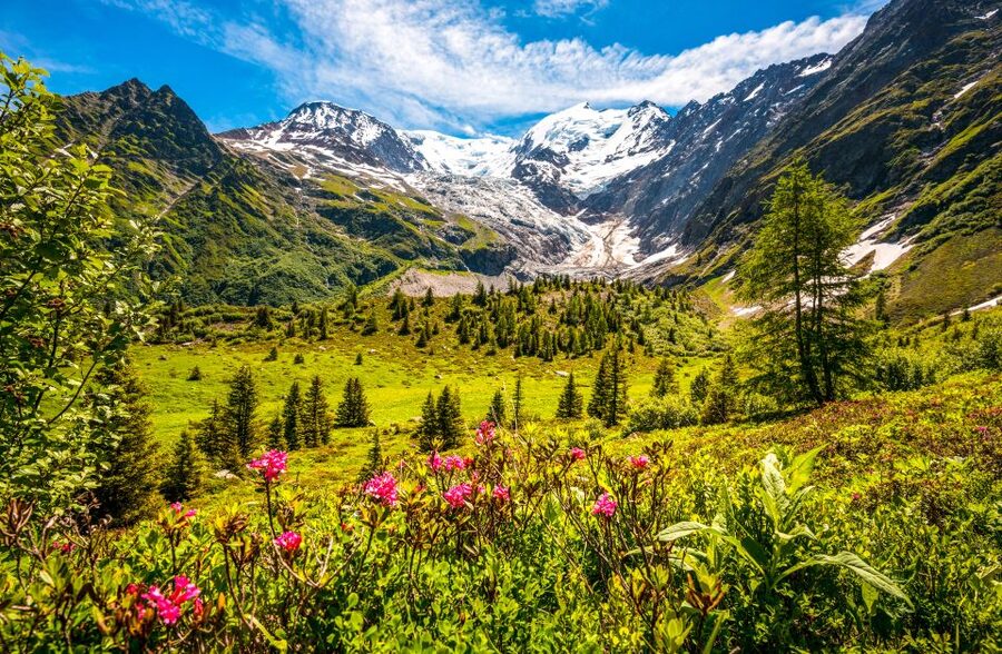 From Geneva: Chamonix Mont-Blanc Private Day Trip - Is $706 Per Person Good Value?