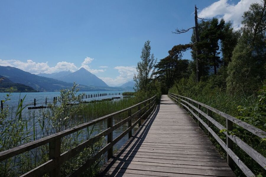 From Geneva: Full-Day Trip to Interlaken - Key points to know before you book