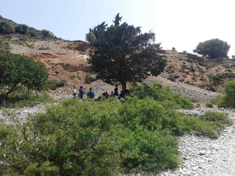 From Georgioupoli: Easy Hiking Day-Trip to Imbros Gorge - What you get for $34