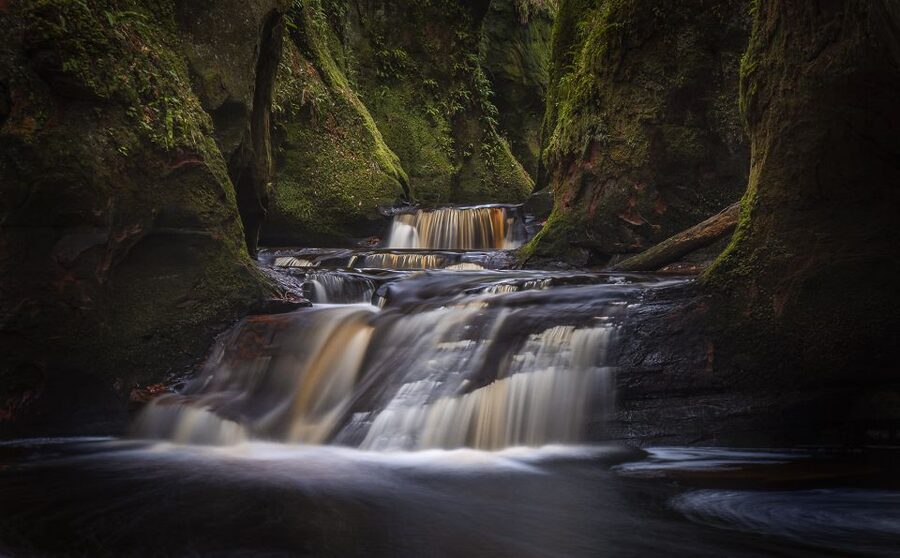 From Glasgow: The Devil's Pulpit Day Trip - The forest walk and the first views
