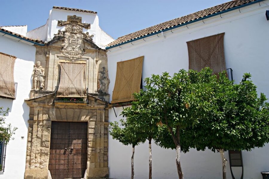 From Granada: Córdoba Day Trip with Mezquita Guided Tour - What the guided visit adds