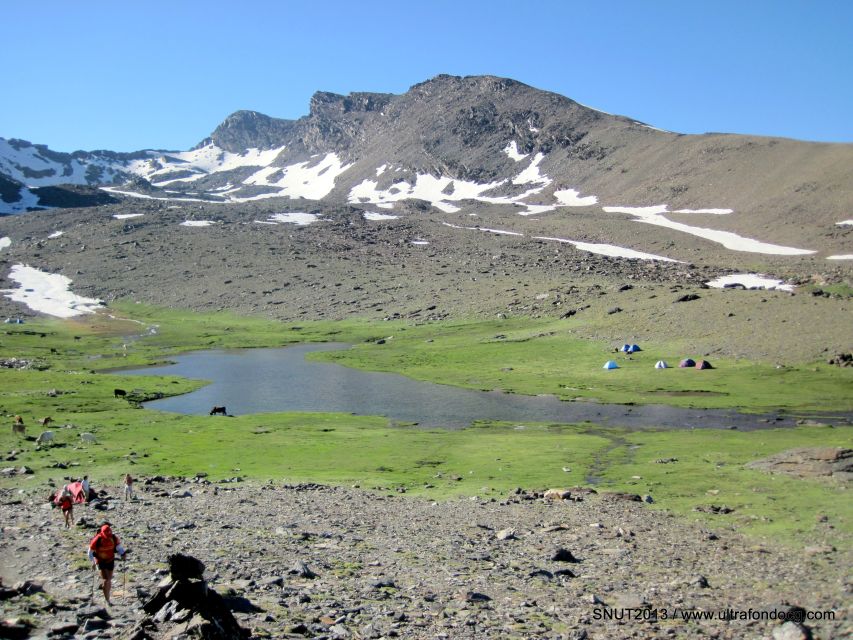 From Granada: Sierra Nevada Guided Day Trip - Forests and high mountain meadows