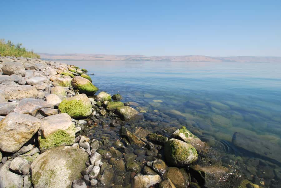 From Haifa: Guided Day Trip to Nazareth and Sea of Galilee - From Haifa Port Across the Jezreel Valley