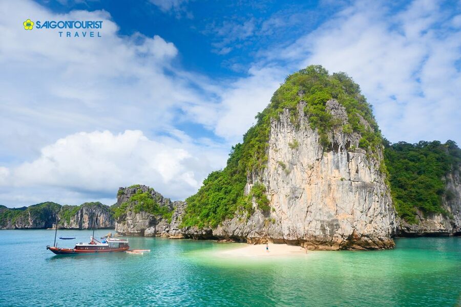 From Hanoi: Halong Bay Day Trip with Lunch and Transfers - Climbing Titop Island for the big view