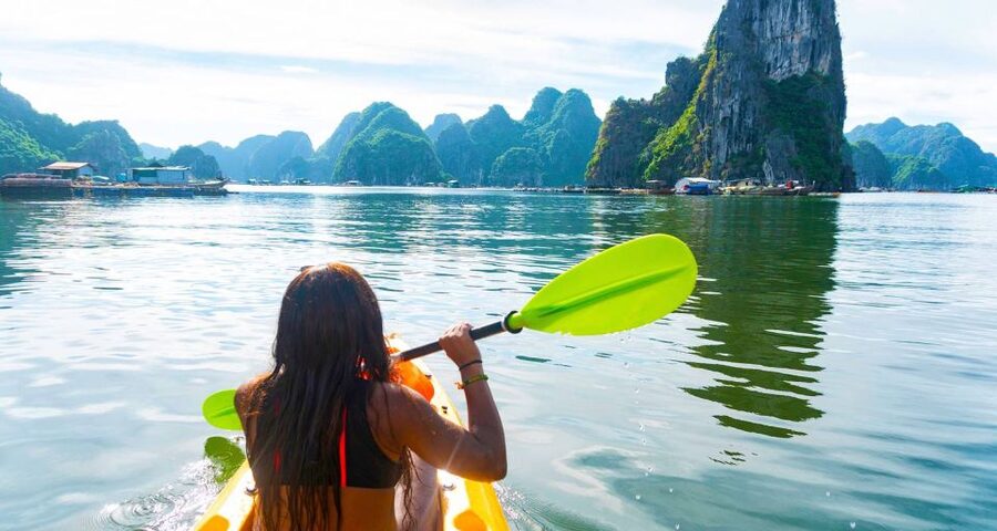 From Hanoi: Halong Bay Day Trip with Lunch and Transfers - What the $48 price really covers