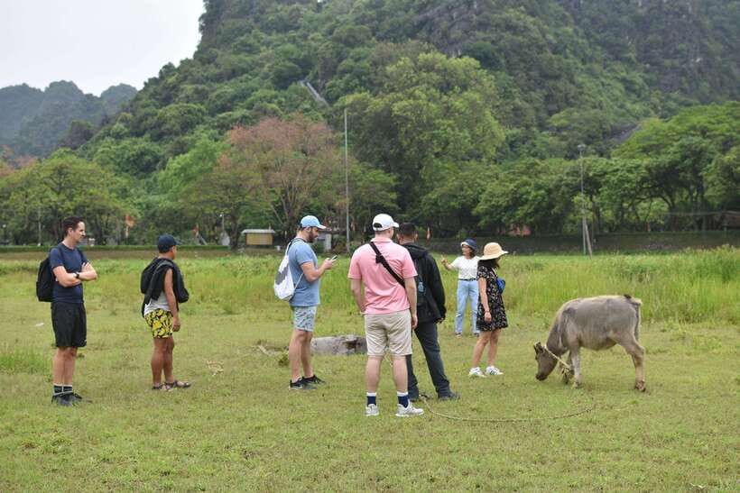 From Hanoi: Ninh Binh, Hoa Lu, Tam Coc, & Mua Cave Day-Trip - Climbing Mua Cave for the big view