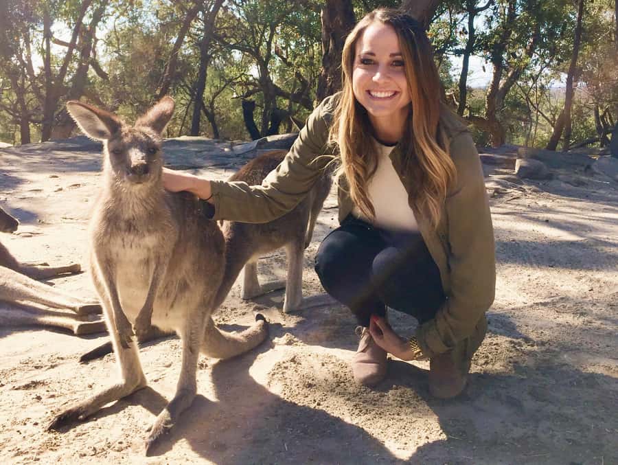 From Haymarket: Hunter Valley Wine and Wildlife Day Trip - From Haymarket to the Hunter Valley