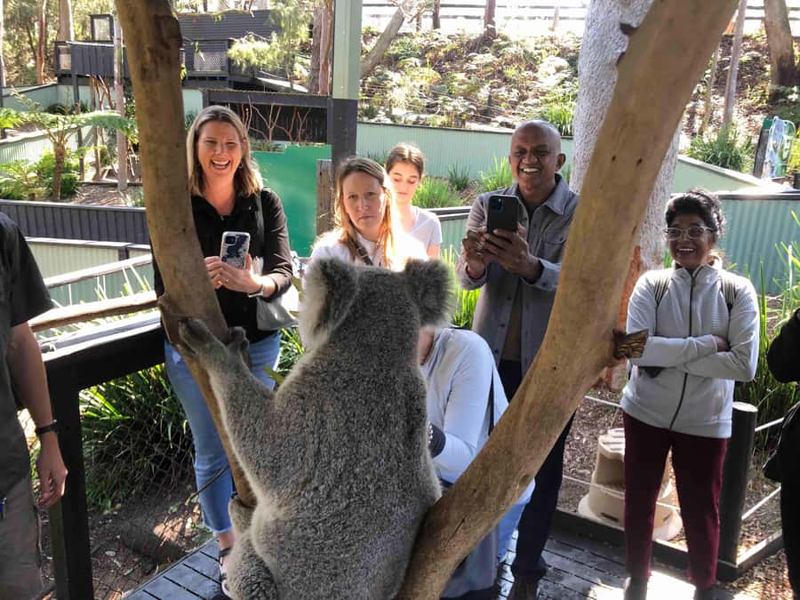 From Haymarket: Hunter Valley Wine and Wildlife Day Trip - Lunch with wine country views, or bring your own picnic