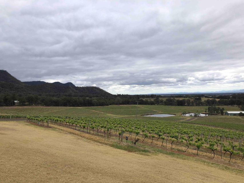 From Haymarket: Hunter Valley Wine and Wildlife Day Trip - What the price really includes