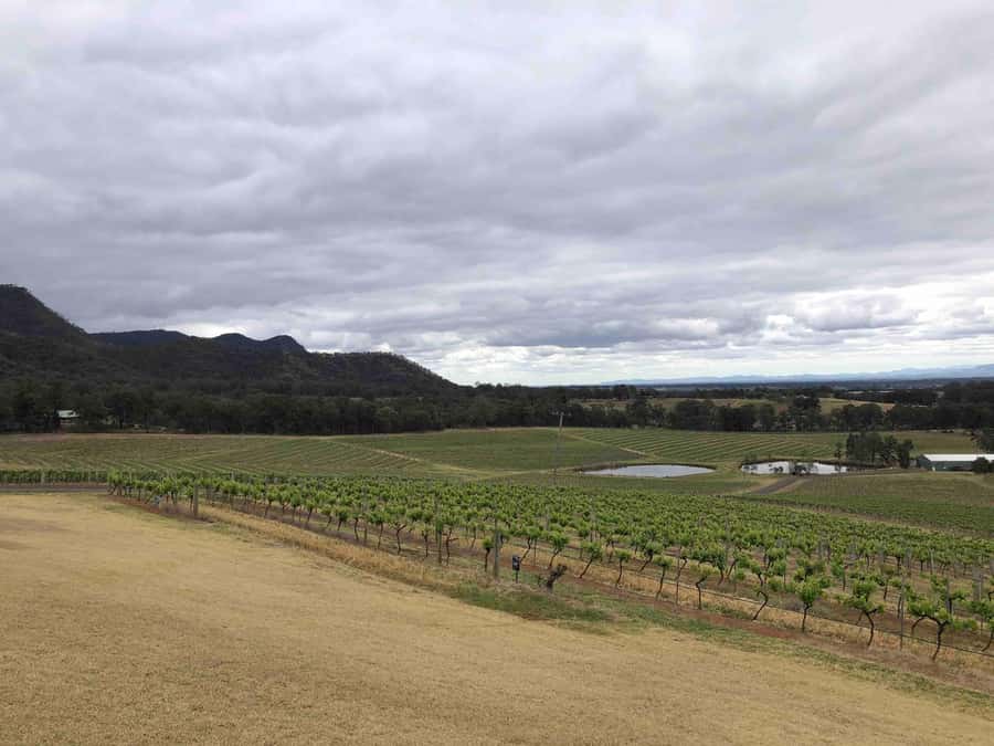 From Haymarket: Hunter Valley Wine and Wildlife Day Trip - Who will enjoy this day most?