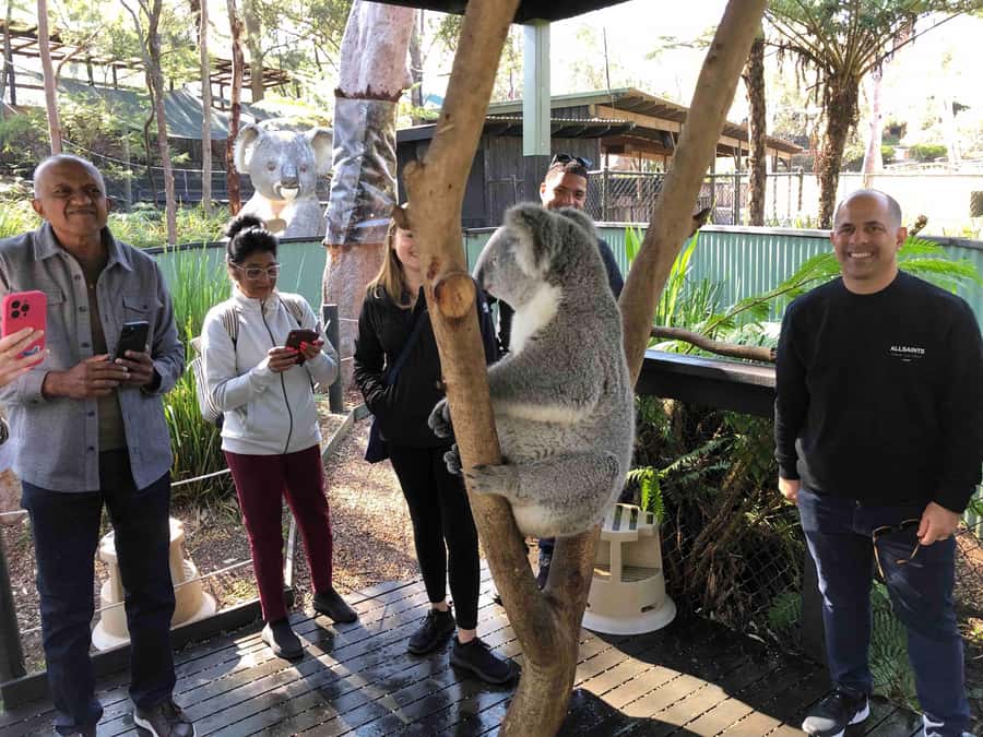 From Haymarket: Hunter Valley Wine and Wildlife Day Trip - Meeting Australian animals at the sanctuary