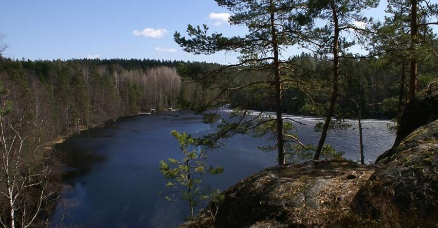From Helsinki: Nuuksio National Park Half-Day Trip - Key points to know before you book