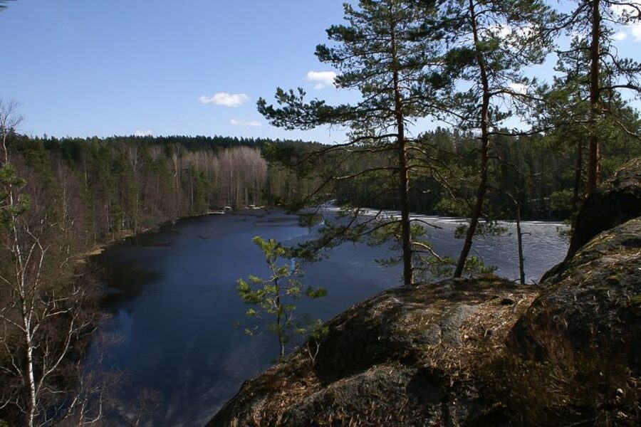 From Helsinki: Nuuksio National Park Half-Day Trip - From city transport to forest trail