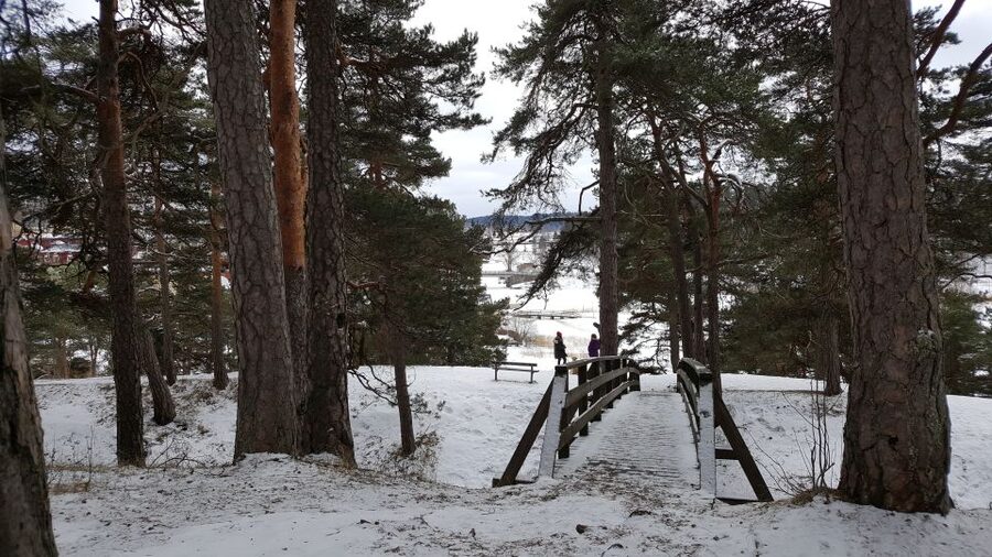 From Helsinki: Porvoo Guided Day Trip with Transportation - Booking details worth knowing