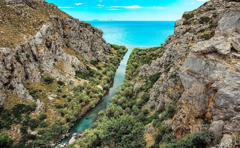 From Herakleion: Day Trip to Preveli Palm River Beach - Key points to know before booking