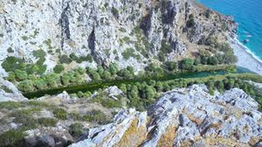 From Herakleion: Day Trip to Preveli Palm River Beach - Walking the palm river