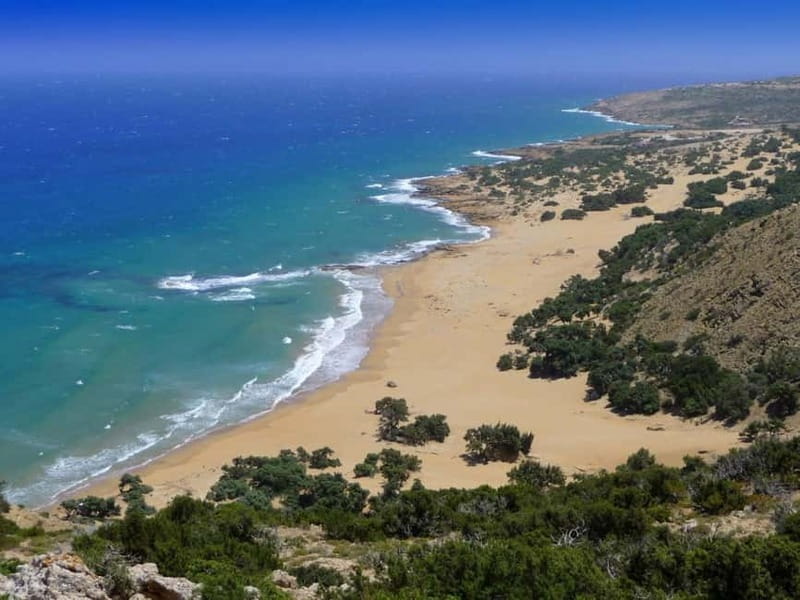 From Herakleion: Day Trip to Preveli Palm River Beach - Who should book this day trip