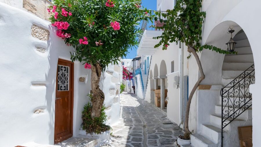 From Heraklion/Crete: Santorini Island Guided Day Trip - What the guide adds to the day