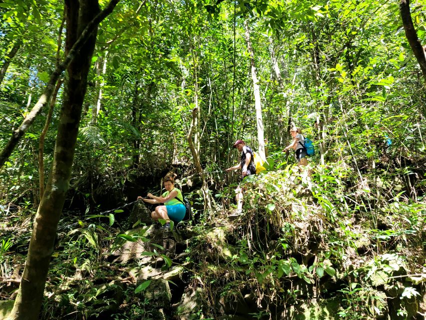 From Hue: Bach Ma National Park Hiking Day Trip with Pickup - The climb to Hai Vong Dai