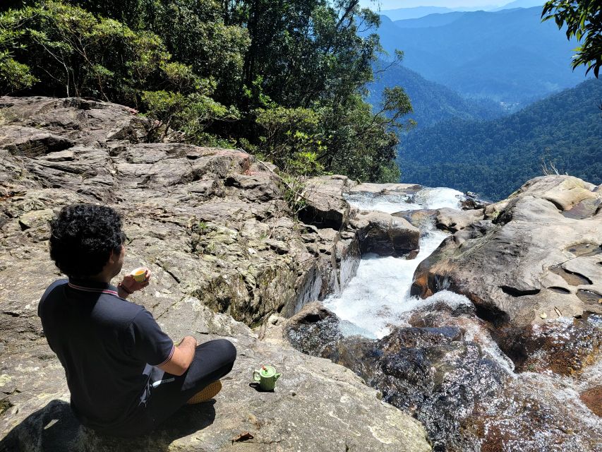 From Hue: Bach Ma National Park Hiking Day Trip with Pickup - Guides, transport, and the feel of the day