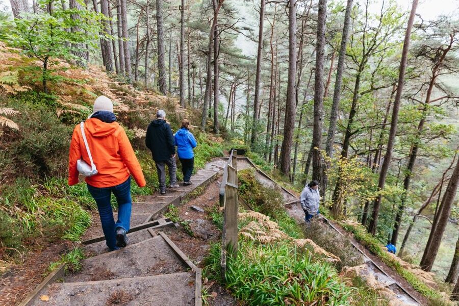 From Inverness: Loch Ness Guided Day Trip - Why this route works better than a simple Loch Ness cruise