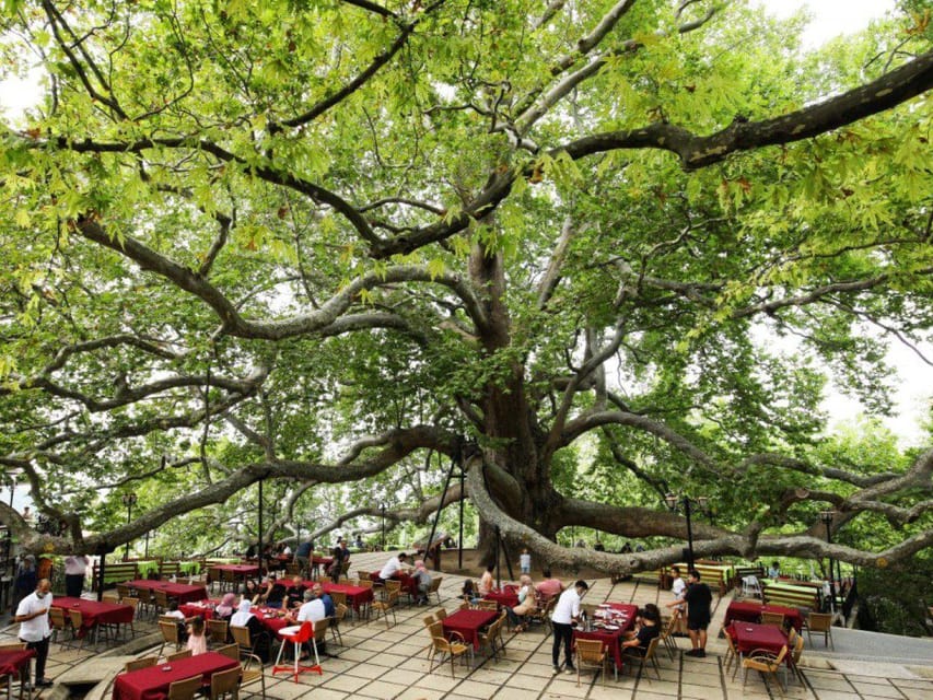 From Istanbul: Bursa Day Trip with Lunch and Transfers - Uludag Mountain and the cable car