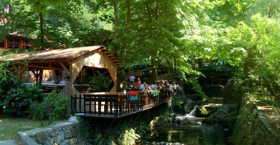 From Istanbul: Guided Day Trip to Sapanca and Masukiye - Masukiye village, wood houses, and lunch