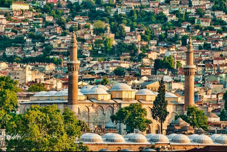 From Istanbul: Private Bursa City Day Trip - The ferry crossing turns the transfer into part of the day
