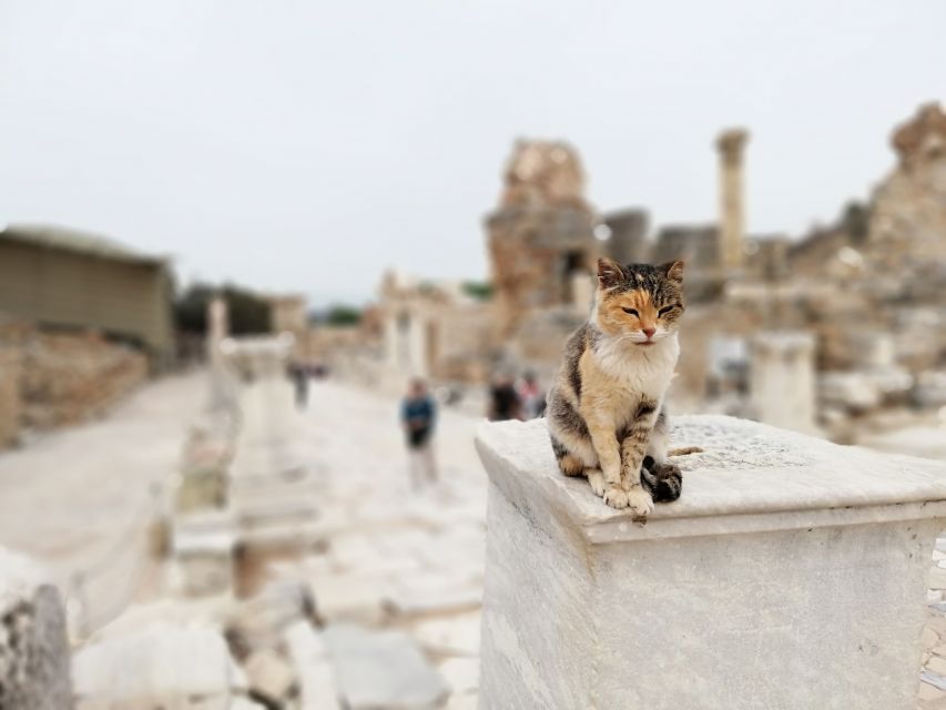 From Istanbul: Private Guided Day Trip to Ephesus with Lunch - Walking the marble streets of Ephesus