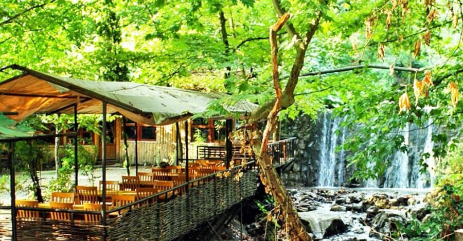 From Istanbul: Sapanca and Masukiye Day Trip with Lunch - What the guides add to the day
