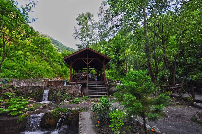 From Istanbul: Sapanca and Masukiye Day Trip with Lunch - Maşukiye’s waterfalls and forest setting