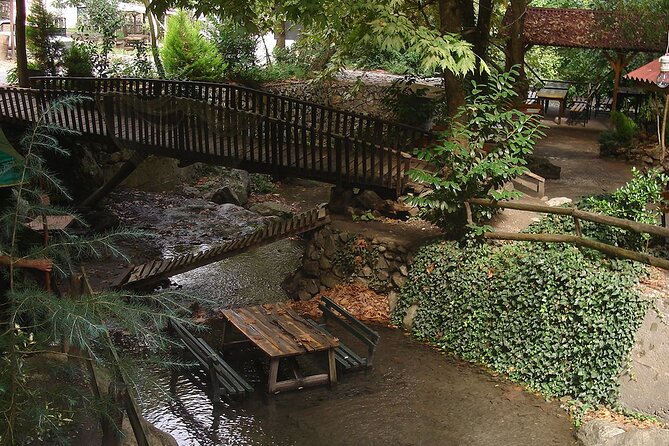 From Istanbul: Sapanca and Masukiye Day Trip with Lunch - Is $29 good value?