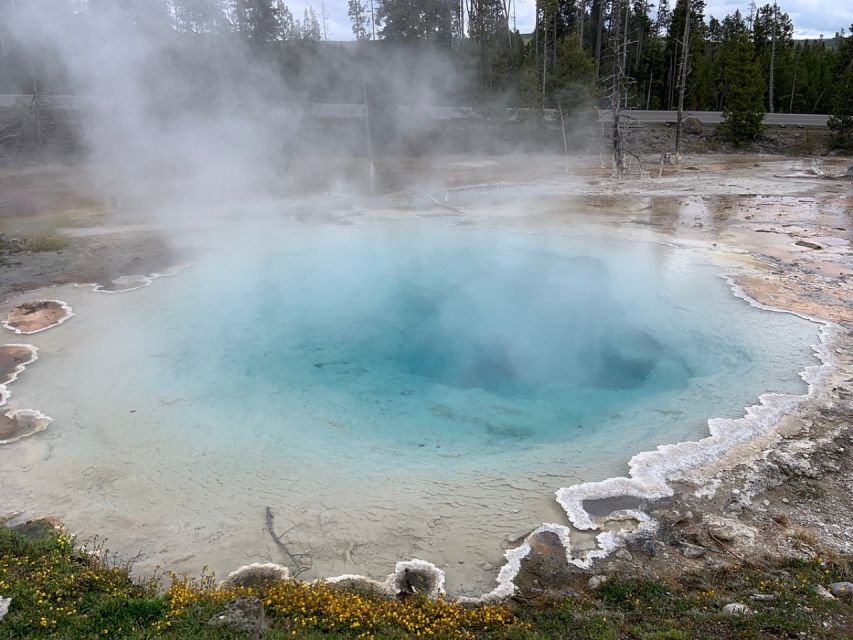 From Jackson: Yellowstone National Park Day Trip with Lunch - A 7 a.m. start from Jackson
