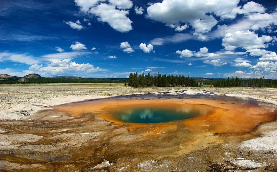 From Jackson: Yellowstone National Park Day Trip with Lunch - Why a guide helps on this route