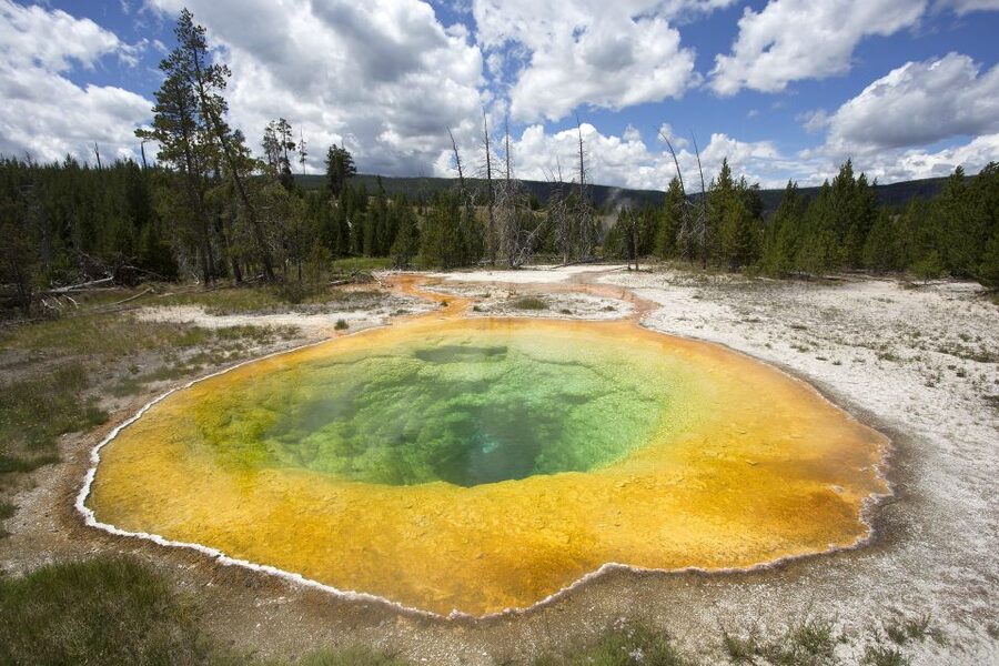 From Jackson: Yellowstone National Park Day Trip with Lunch - Waterfalls, river canyons, and changing scenery