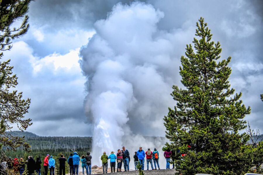 From Jackson: Yellowstone National Park Day Trip with Lunch - Hayden Valley and the search for wildlife